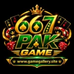 667pak-game