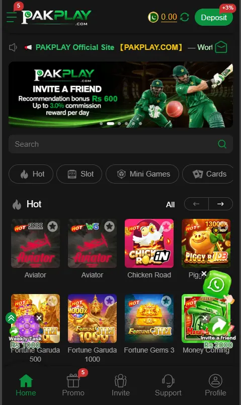 pakplay-game