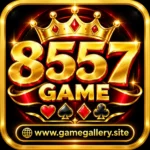 8557-game
